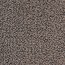 vloerbedekking tapijt belakos omnia kleur-beige-bruin 290