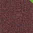vloerbedekking tapijt gelasta formula sdn kleur-rood 12