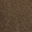 vloerbedekking tapijt gelasta romeo kleur-beige-bruin 95