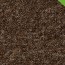vloerbedekking tapijt gelasta spectrum nieuw kleur-beige-bruin 91