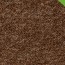 vloerbedekking tapijt gelasta spectrum nieuw kleur-beige-bruin 93