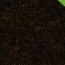 vloerbedekking tapijt gelasta spectrum nieuw kleur-beige-bruin 97