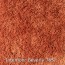 vloerbedekking tapijt interfloor beverly kleur-rood 045765
