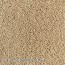 vloerbedekking tapijt interfloor toscane kleur-beige-bruin 562428